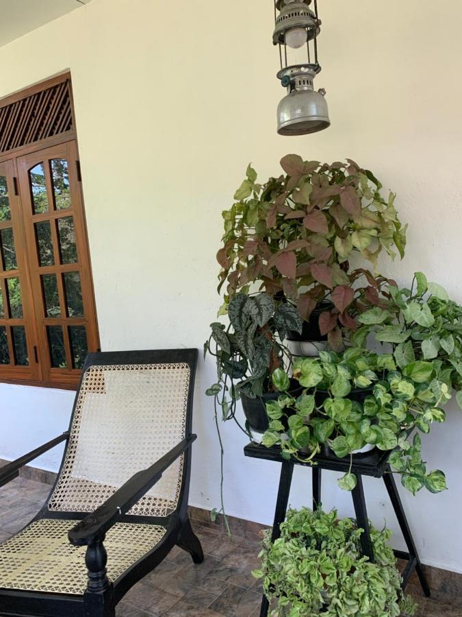 Tranquil Private Villa Near Bentota Beach Exterior foto
