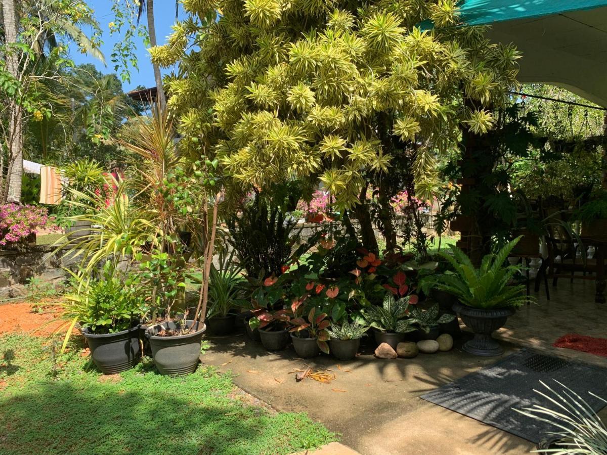 Tranquil Private Villa Near Bentota Beach Exterior foto