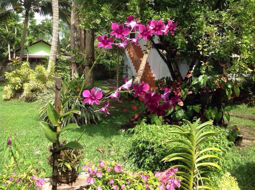 Tranquil Private Villa Near Bentota Beach Exterior foto